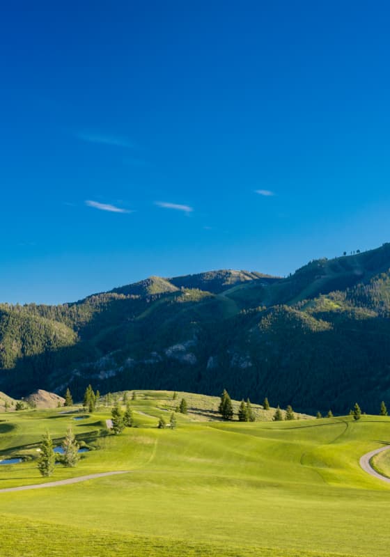 svr_whiteclouds_scenic_pano_summer_2019_dondero_steve_4