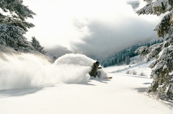 _svr_winter_skiing_collin_collins_pow_day_a7405237_soss_treatment_