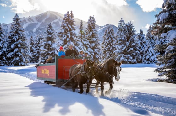 svr_village_sleighride_winter_2019_3