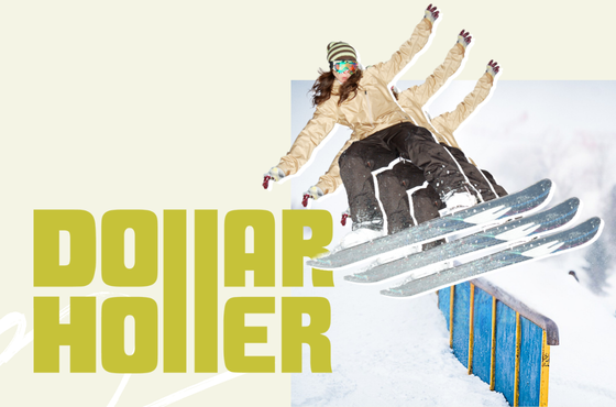 dollarholler_webcard560x360