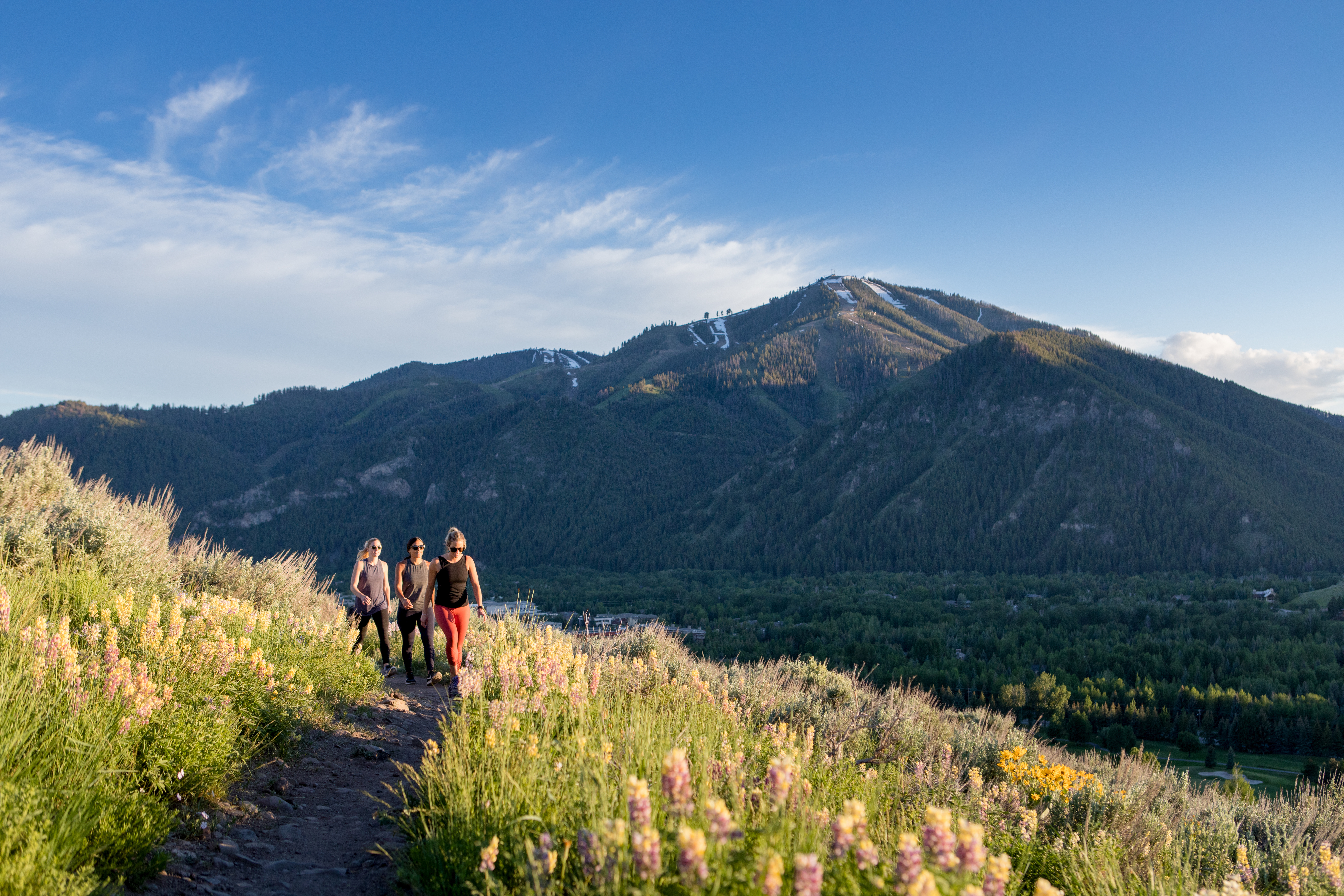 SVR_WhiteClouds_Hiking_Summer_2017_Gadd_Ray_2