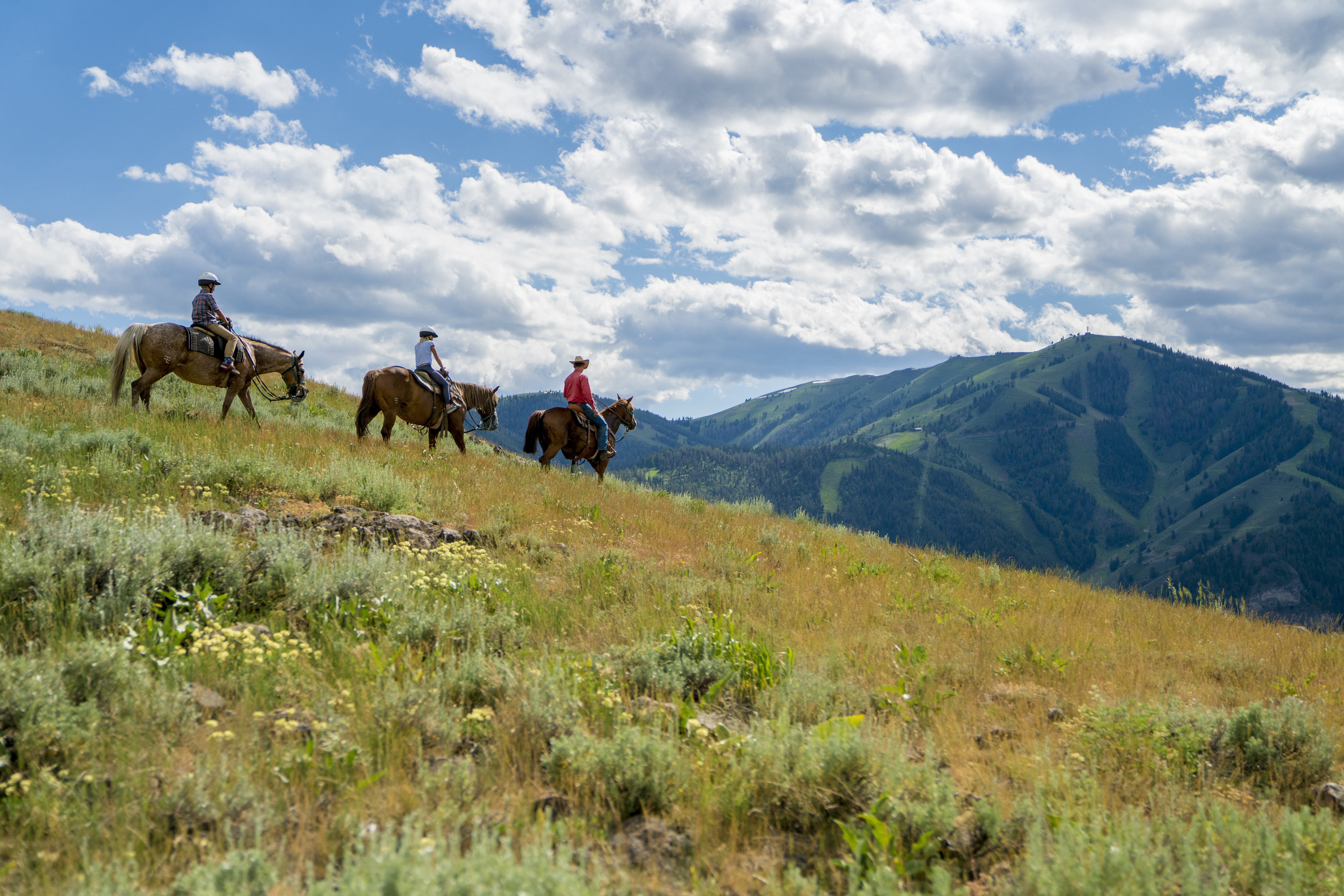 svr_dollar_horseback_2023_5-jpg