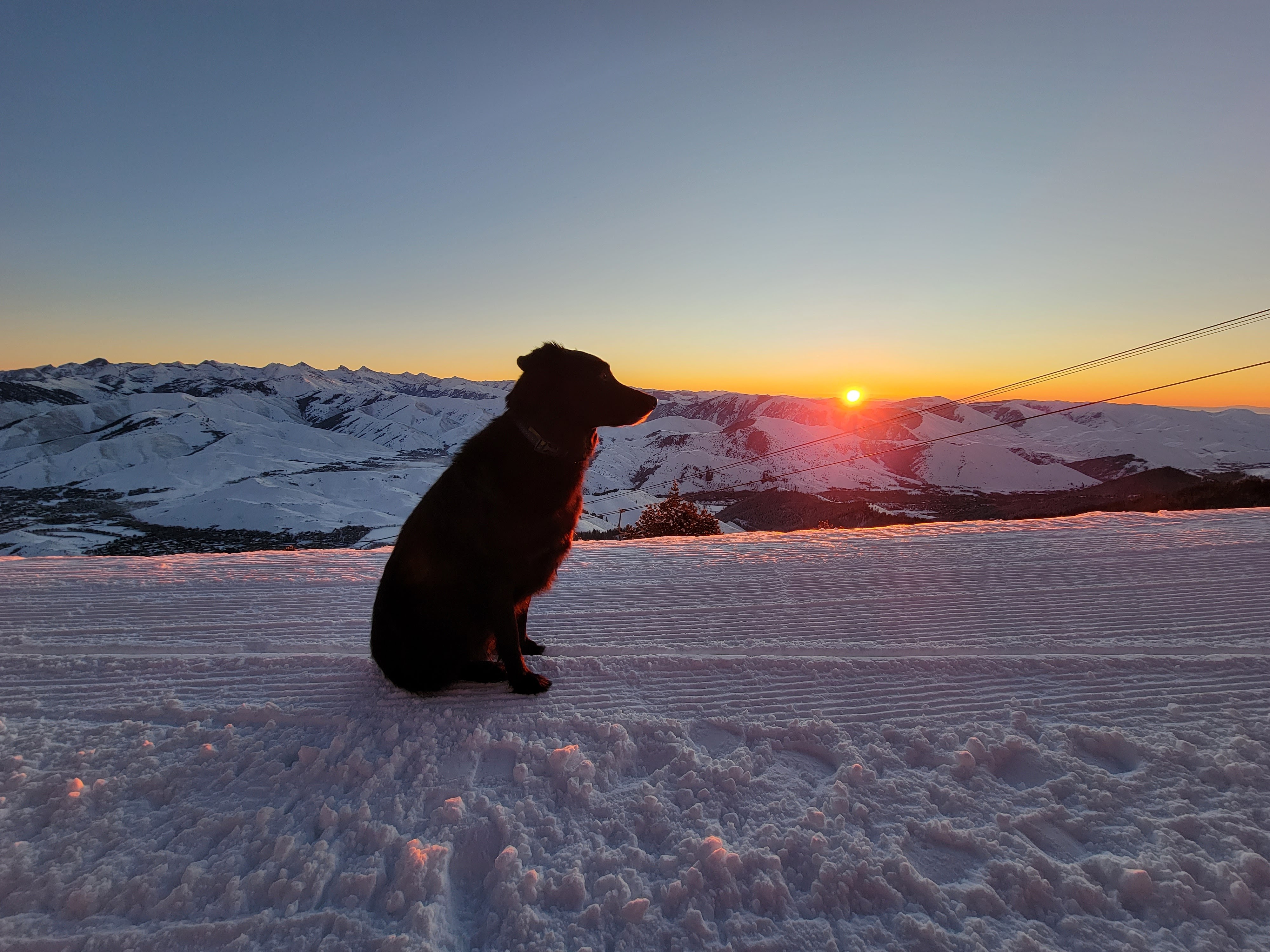avydogblog_2_p1