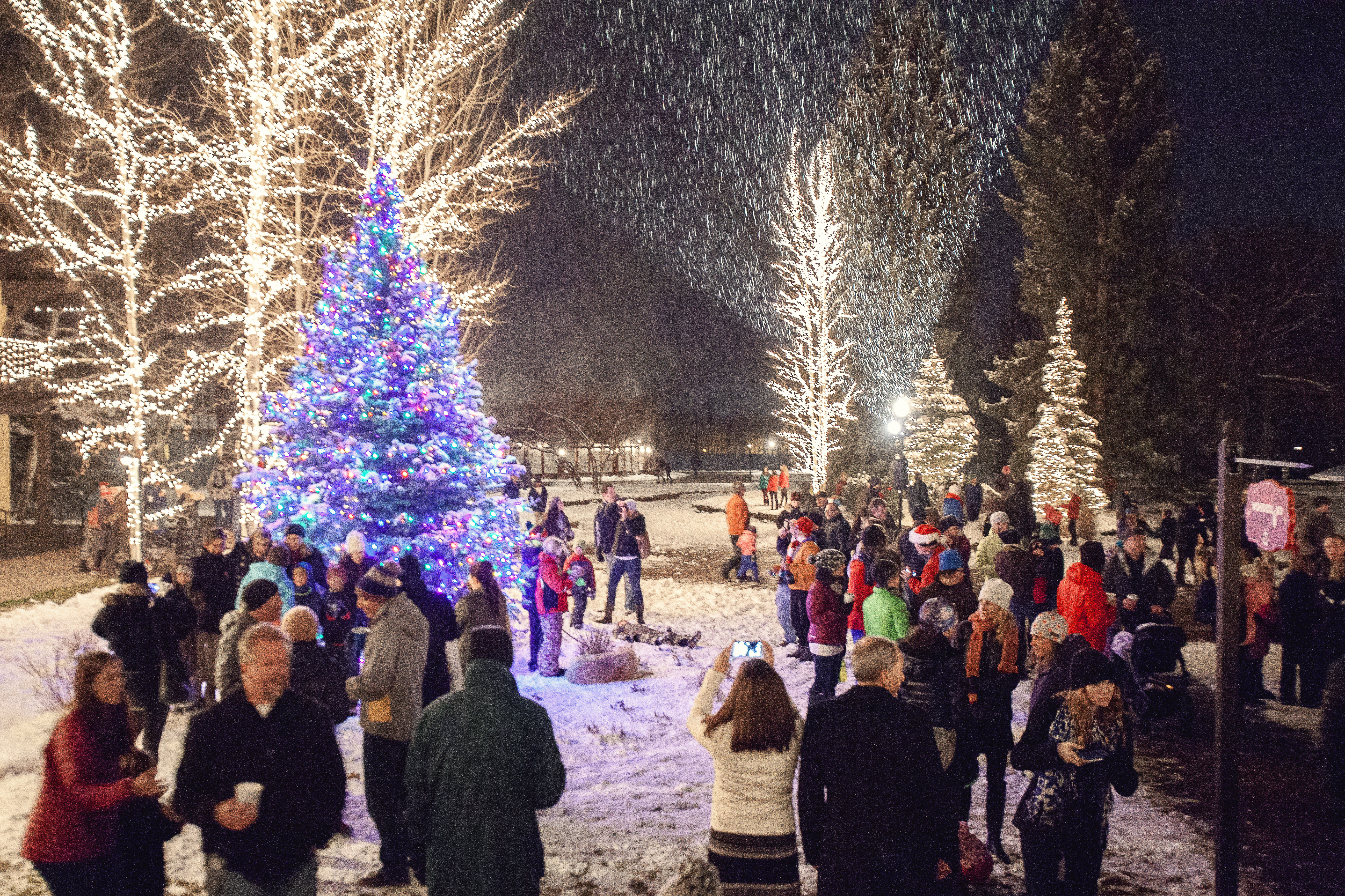 sunvalleytreelighting